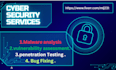 offer expert cybersecurity services ,  tackling projects, assessments and tasks