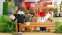 create a professional minecraft or hytale 3d animation for you