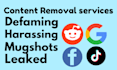 remove takedown mugshots,leaked, harassing, defaming content on websites, google