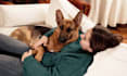 boost your online presence with engaging dog and pet guest posts