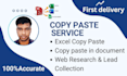 do deliver fast,accurate copy paste, data entry service