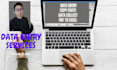 fast accurate data entry and data visualization