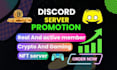 do professional discord server growth and promote