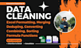 do data cleaning formatting filter duplicates, merge split clean ms excel data