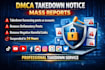 takedown harassing remove copyright mass reports facebook instagram youtube dmca