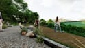do professional 3d landscape rendering