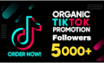 do super fast organic tik tok promotion growth