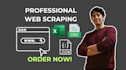do data entry, data mining, web scraping and data extraction