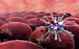 help in immunology pathophysiology neuroscience microbiology psychiatry