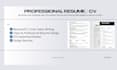 make professional cv or resume