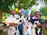 wish happy birthday video or africa happy birthday video