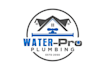 make professional plumbing and cleaning logo design