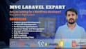 develop custom web apps with laravel, PHP, javascript and mysql