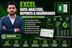do professional excel data analysis