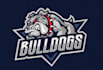 design bulldogs baseball team logo