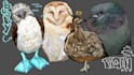 draw your beloved pet