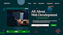create stunning wordpress websites for your business