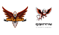 create high quality bird eagle logo