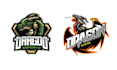 make professional mascot dragon logo within 24 hours