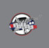 make beautiful fire bird race car logo