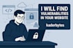 find vulnerabilities in your website