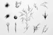 create your unique minimalist tattoo design