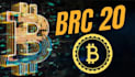 be blockchain developer, presale staking dex, solana token, sui token, web3 dapp