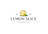 professional retro modern home cleaning logo
