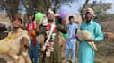 wish happy fathers day video or happy birthday video