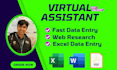 be your virtual assistant for data entry and online work