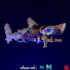 create and design,render,texture 3d model