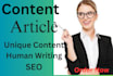 do article writing, content writing and SEO blog post