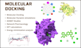 do molecular docking, network pharmacology and in silico studies
