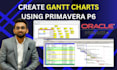 prepare gantt chart, schedule, wbs using primavera p6