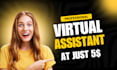 be your professional virtual assistant