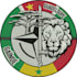 do embroidery digitizing design into dst pes jef file in 1 hour