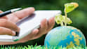 write, analyze and research environmental science