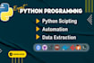 do expert python programming, automation scripting and custom coding solutions