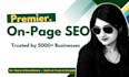 do website SEO optimization for shopify, wordpress, wix