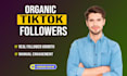 do tiktok marketing and promotion for super fast organic grow