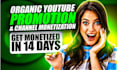 do complete youtube channel monetization and channel promotion