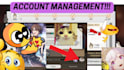 help run your honkai star rail account while youre busy