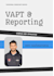 do vapt and professional reporting