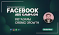 do your digital social media marketing, fb meta ads, instagram organic growth