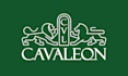 create a modern minimalist heraldry logo
