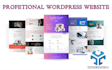 fix wordpress website issue
