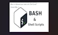 write bash script, shell script within a day