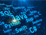 develop java, python bots, c, cpp, sql projects, and programming scripts