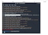 offer expert cryptography services