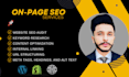 provide expert on page SEO services for top ranking